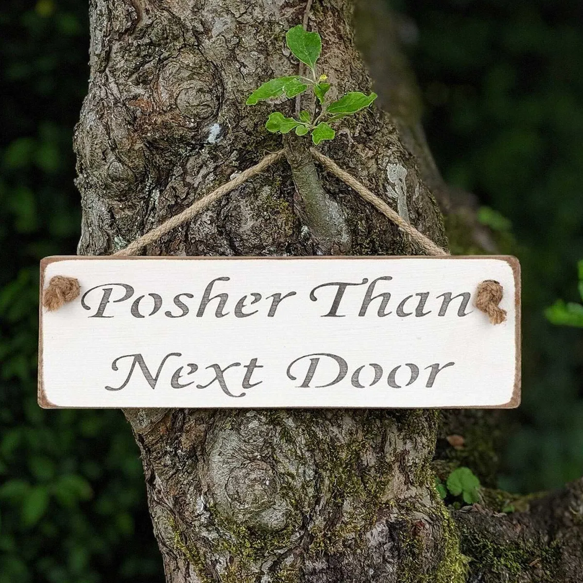'Posher Than Next Door' White Wooden Sign>Austin Sloan Cheap