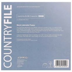 Country File - Black Labrador Puppy Greetings Card><noscript><img width=