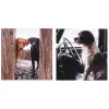 Countryfile Labradors & Spaniel Set Of 6 Blank Notecards>BBC New