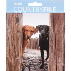 Countryfile Labradors & Spaniel Set Of 6 Blank Notecards><noscript><img width=