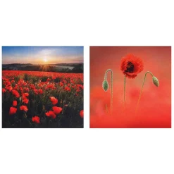 Countryfile Poppies Set Of 6 Blank Notecards><noscript><img width=