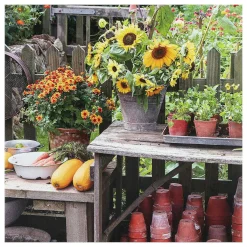 Gardeners' World Autumn Harvest Greetings Card>BBC Best