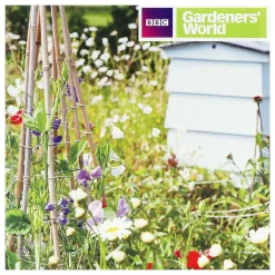 Gardeners' World Bee-Friendly Garden Greetings Card>BBC Sale