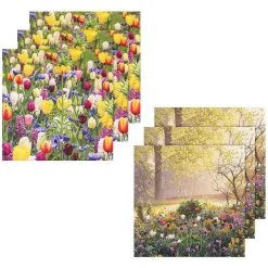 Gardeners' World Tulips & Sunrise Set Of 6 Blank Notecards>BBC Store