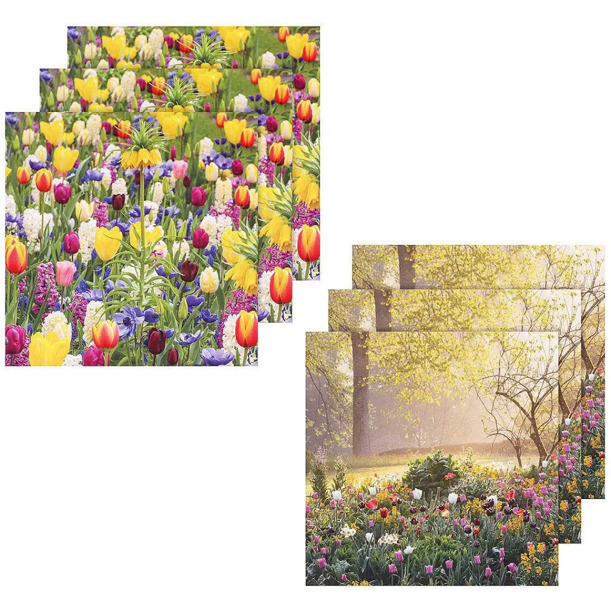 Gardeners' World Tulips & Sunrise Set Of 6 Blank Notecards>BBC Store