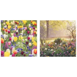 Gardeners' World Tulips & Sunrise Set Of 6 Blank Notecards><noscript><img width=