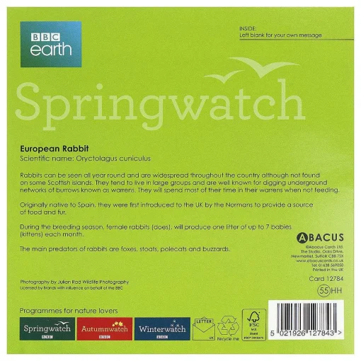 Springwatch European Rabbit Greetings Card>BBC Cheap