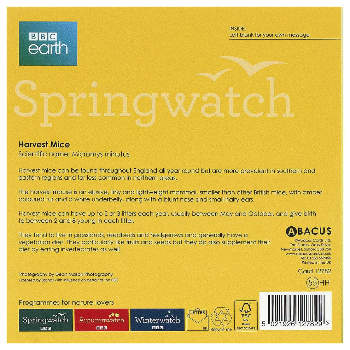 Springwatch Harvest Mice Greetings Card>BBC Discount