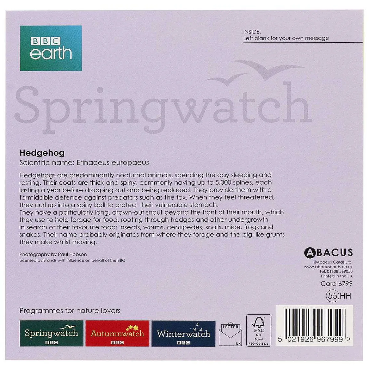 Springwatch Hedgehog Greetings Card>BBC Fashion