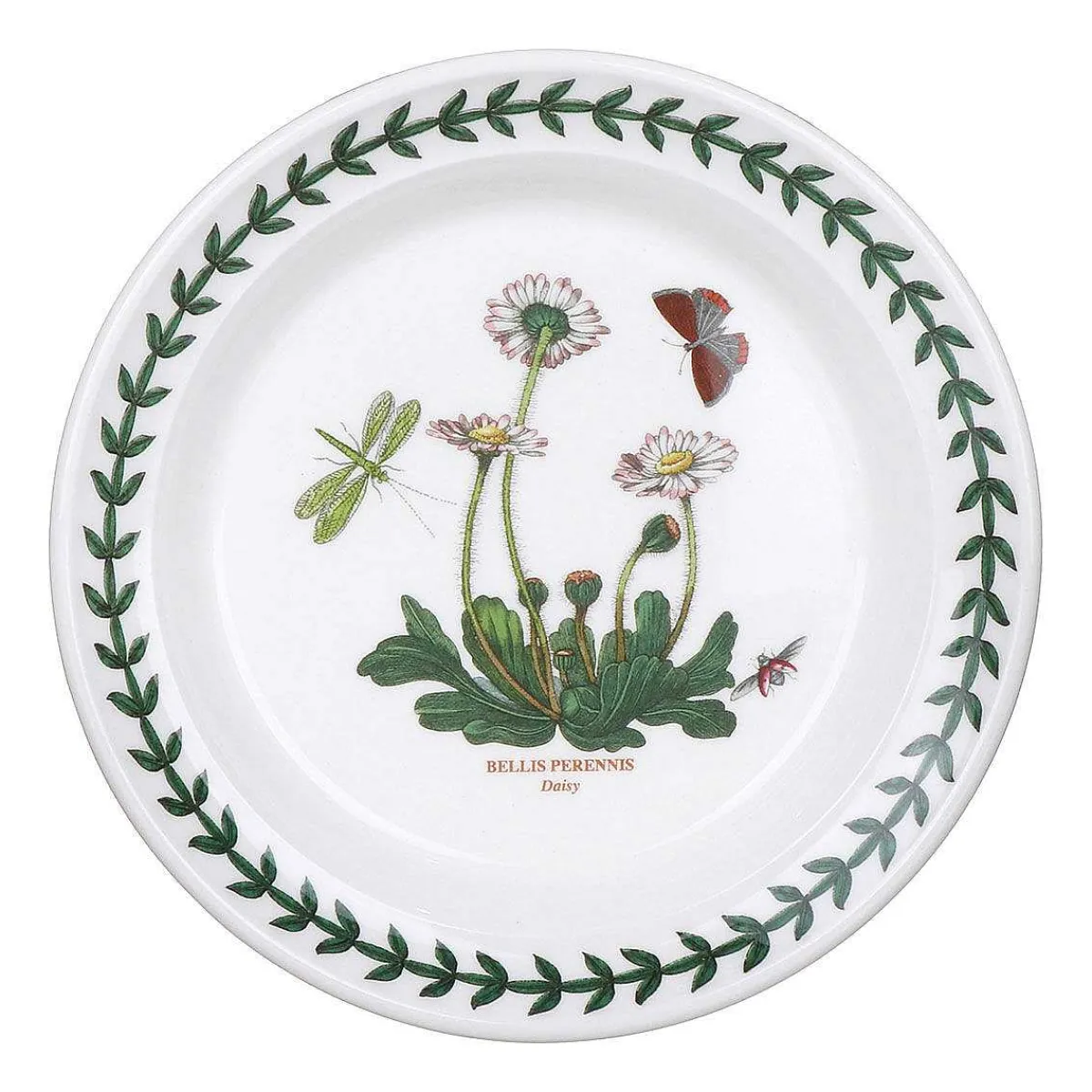 Daisy 6.5 Inch Plate>Botanic Garden Discount