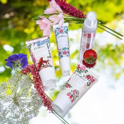 The Artist's Kingdom Daily Essentials>Cath Kidston New