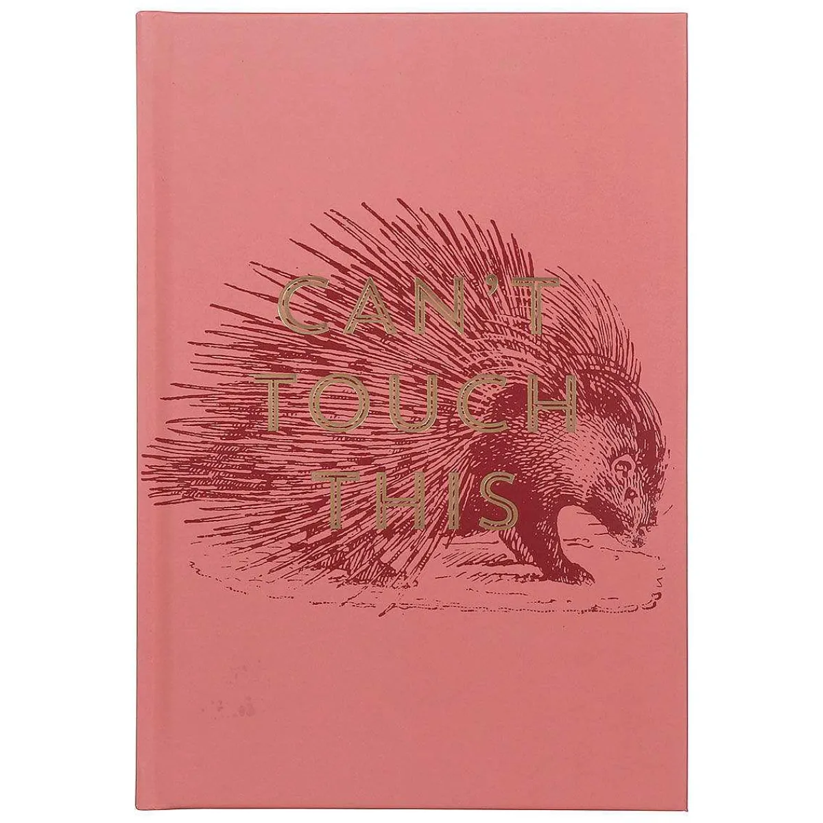 Vintage Sass 'Can'T Touch This' Journal>Designworks Ink New