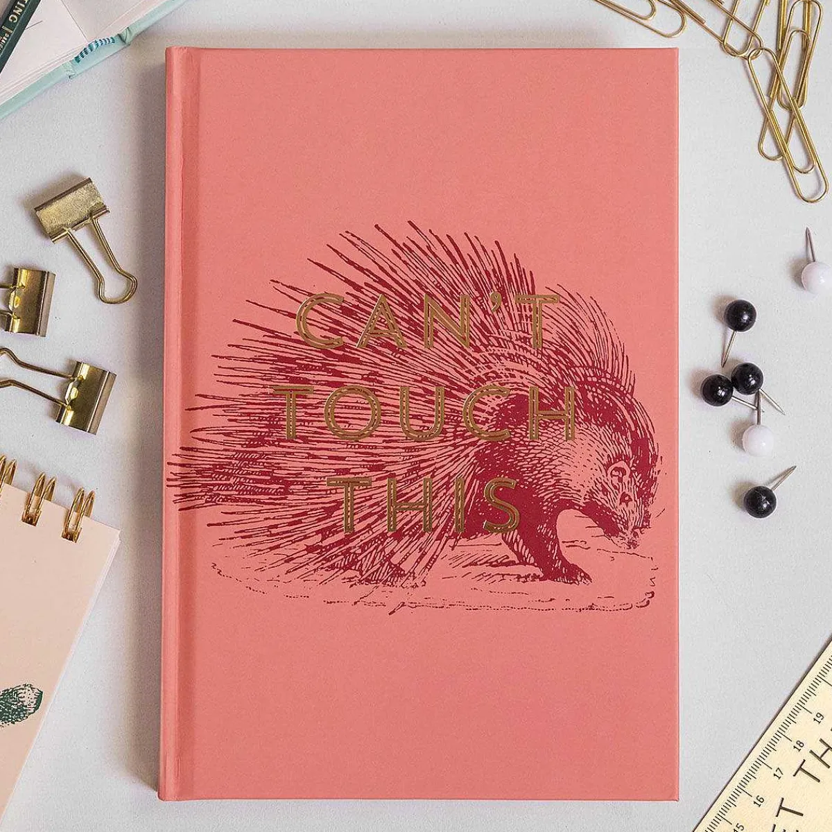 Vintage Sass 'Can'T Touch This' Journal>Designworks Ink New