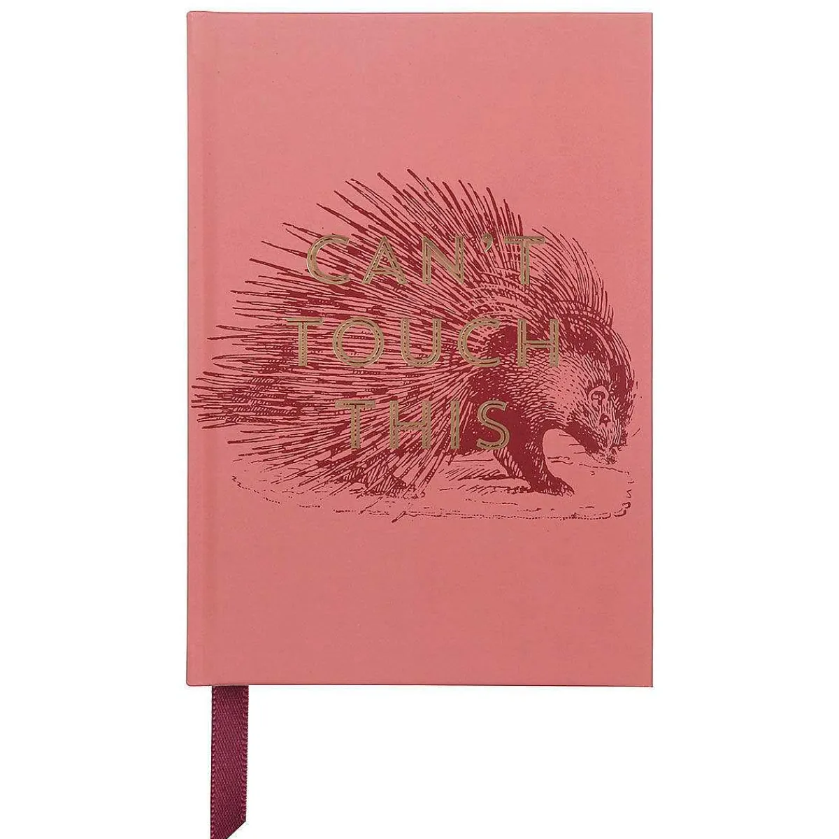 Vintage Sass 'Can'T Touch This' Journal>Designworks Ink New