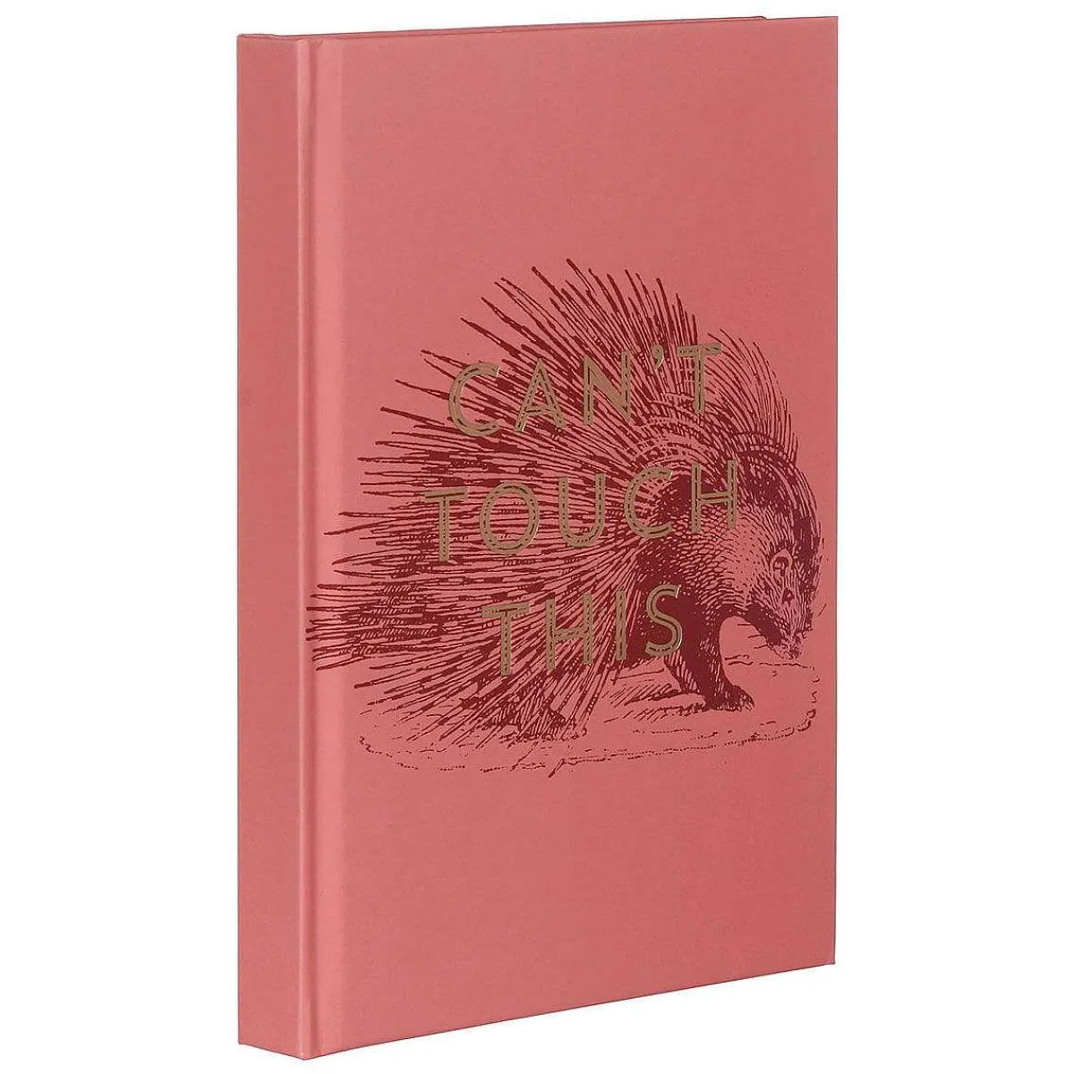 Vintage Sass 'Can'T Touch This' Journal>Designworks Ink New