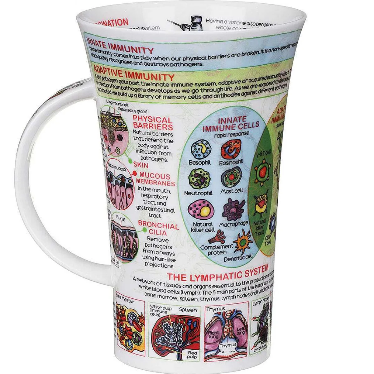 Immune System Glencoe Shape Mug>Dunoon Hot