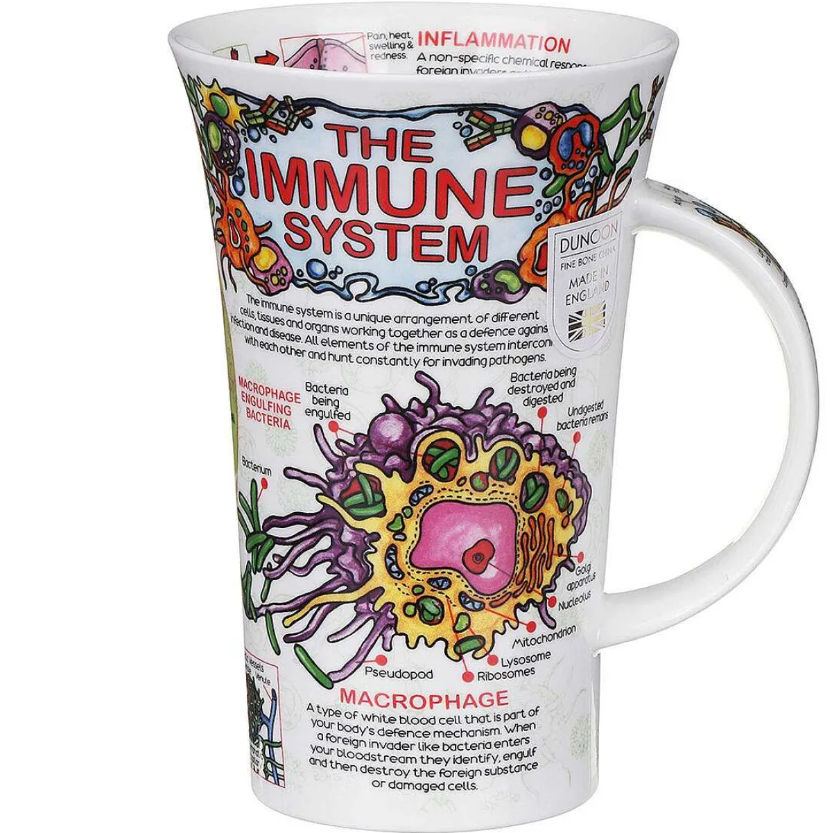 Immune System Glencoe Shape Mug>Dunoon Hot