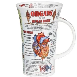 Organs Of The Human Body Glencoe Shape Mug>Dunoon Flash Sale