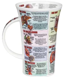 Organs Of The Human Body Glencoe Shape Mug>Dunoon Flash Sale