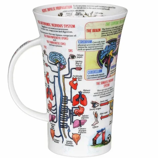 The Nervous System Glencoe Shape Mug>Dunoon Hot