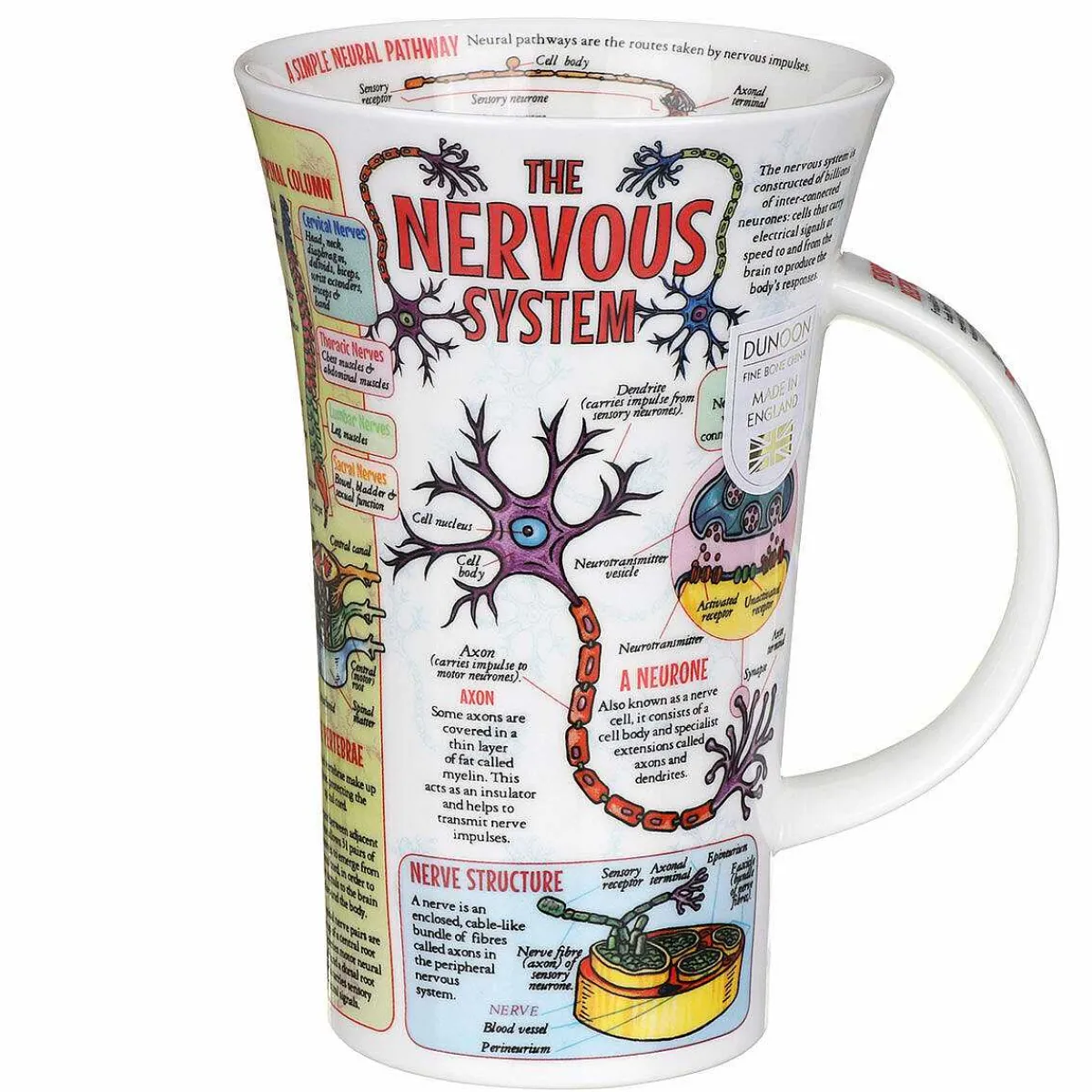 The Nervous System Glencoe Shape Mug>Dunoon Hot
