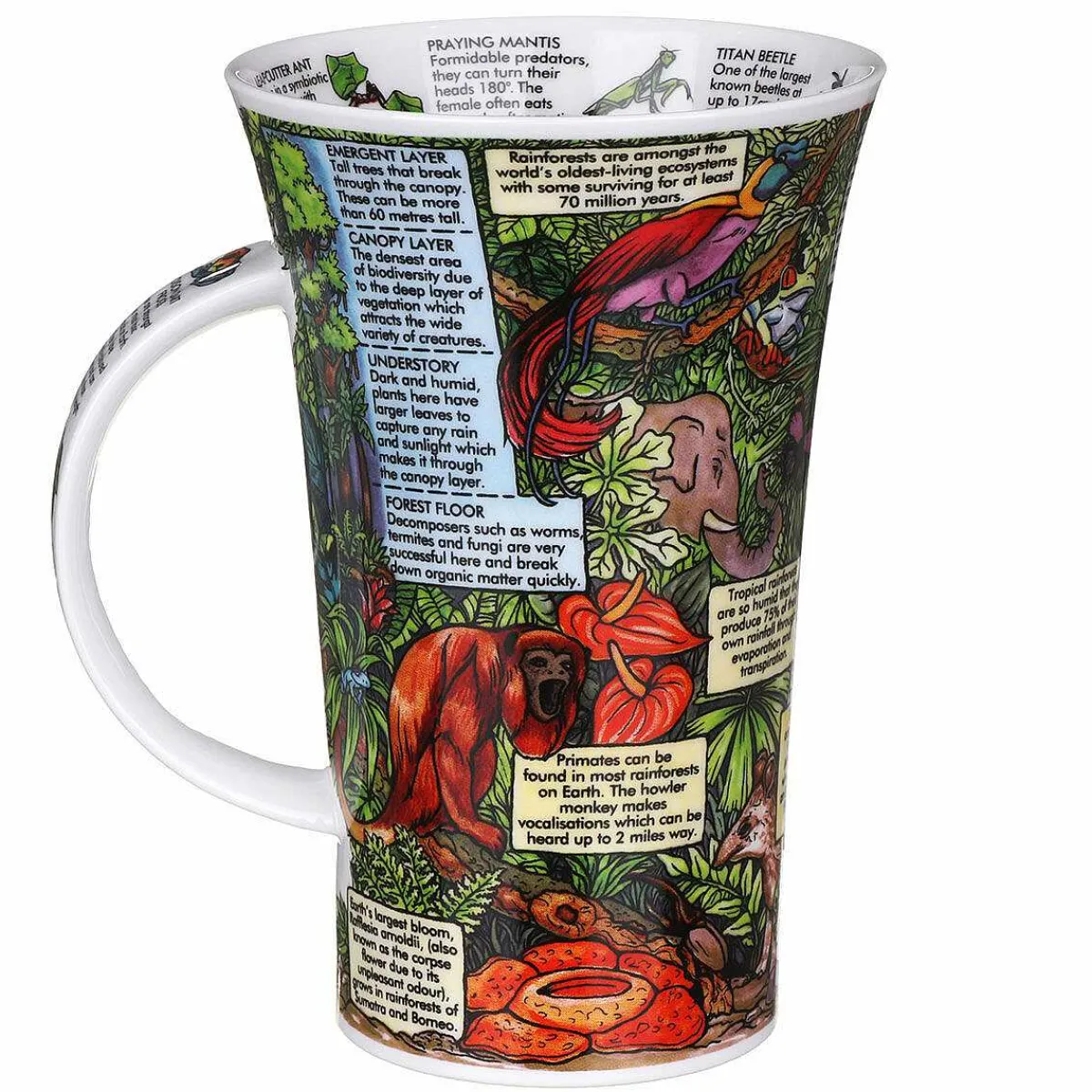 Tropical Rainforests Glencoe Shape Mug>Dunoon Flash Sale