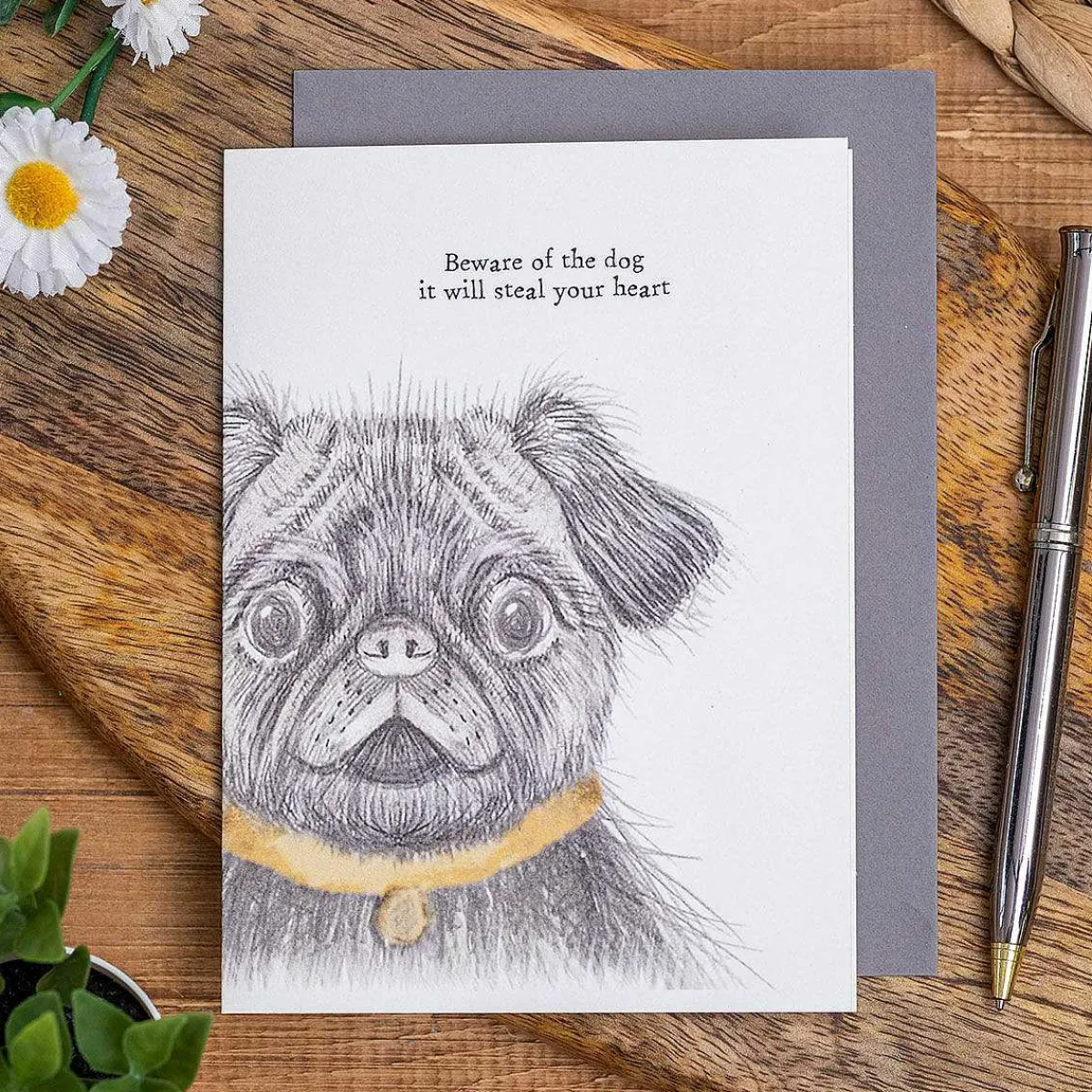 'Beware Of The Dog' Card>East of India Cheap