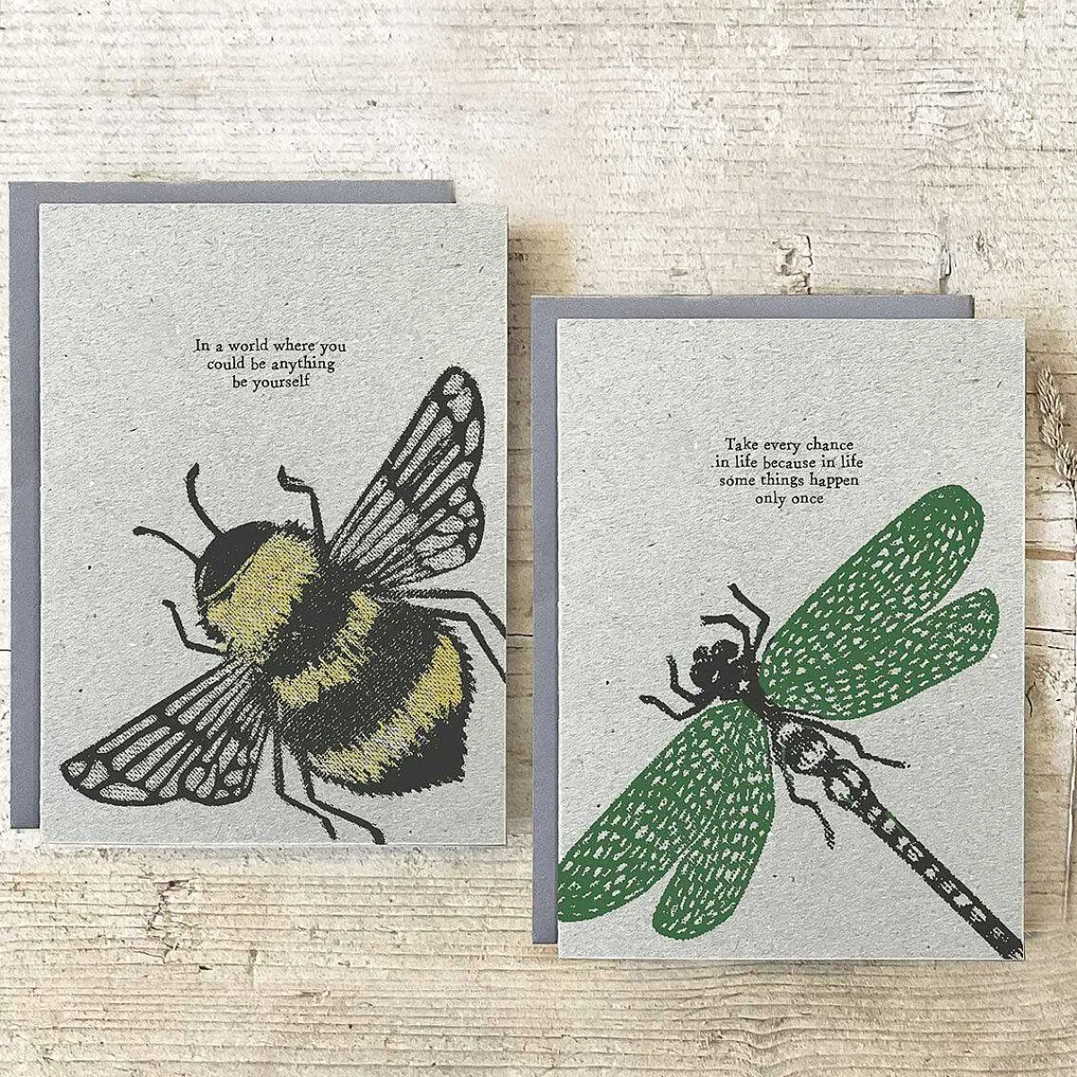 Block Print 'Take Every Chance' Dragonfly Greetings Card>East of India Clearance