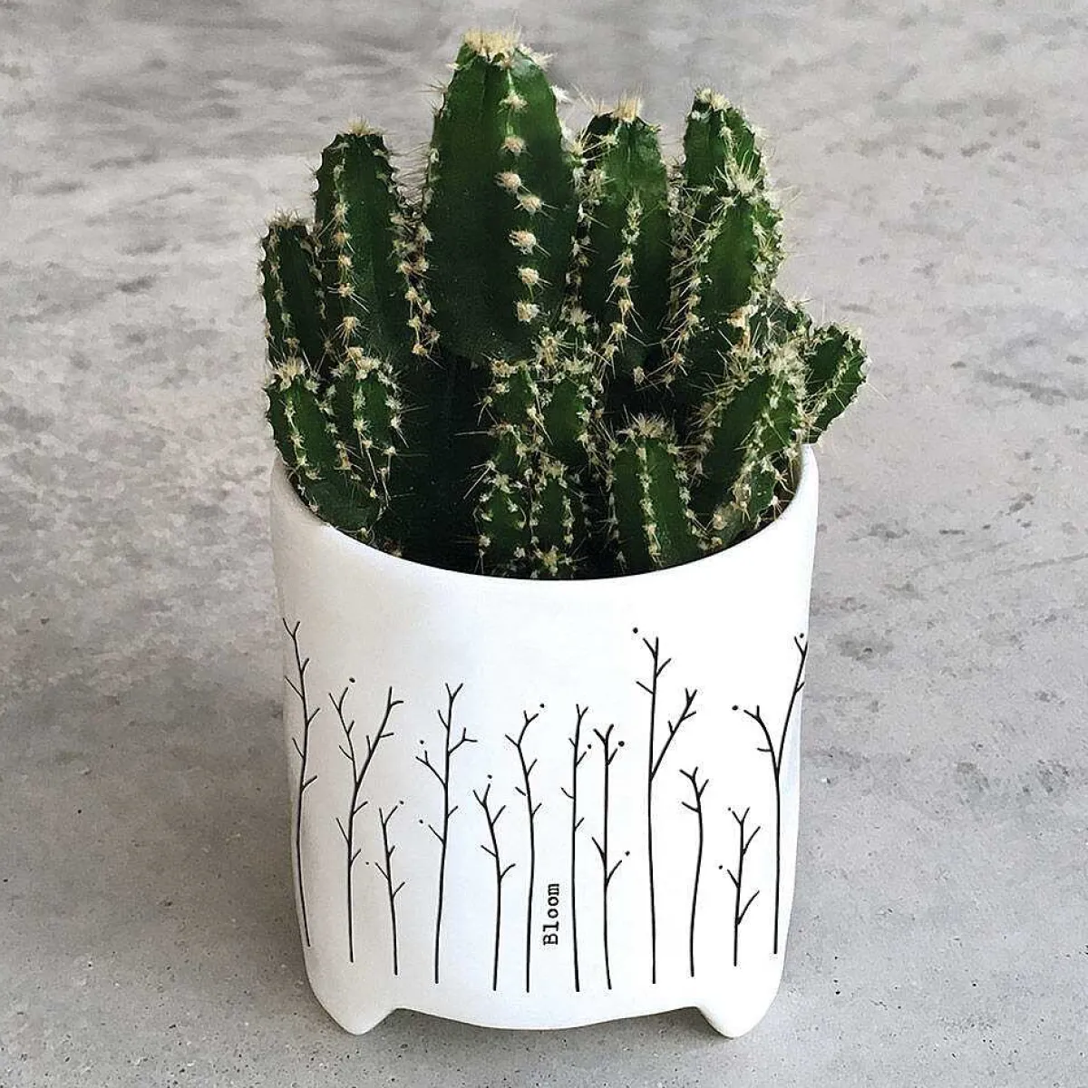 'Bloom' Planter>East of India Store