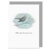 'Feathers Appear' Bird Card>East of India New