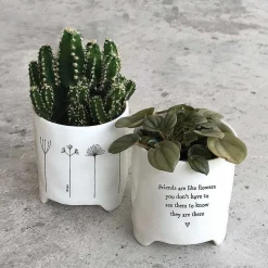 'Home' Flowers Planter>East of India Cheap