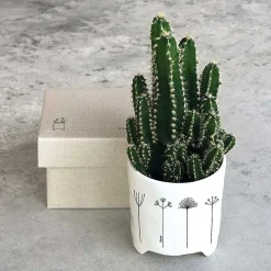 'Home' Flowers Planter><noscript><img width=