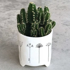 'Home' Flowers Planter><noscript><img width=