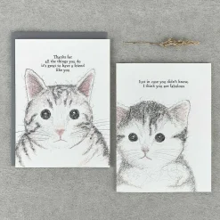'I Think You Are Fabulous' Cat Card><noscript><img width=