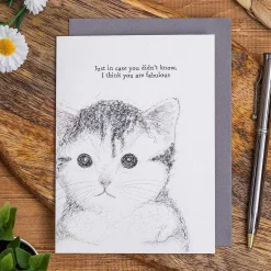 'I Think You Are Fabulous' Cat Card><noscript><img width=