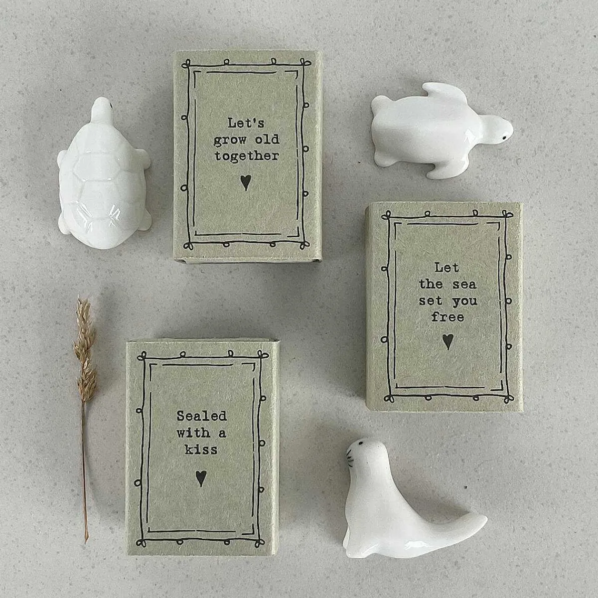 Matchbox Tortoise>East of India Cheap