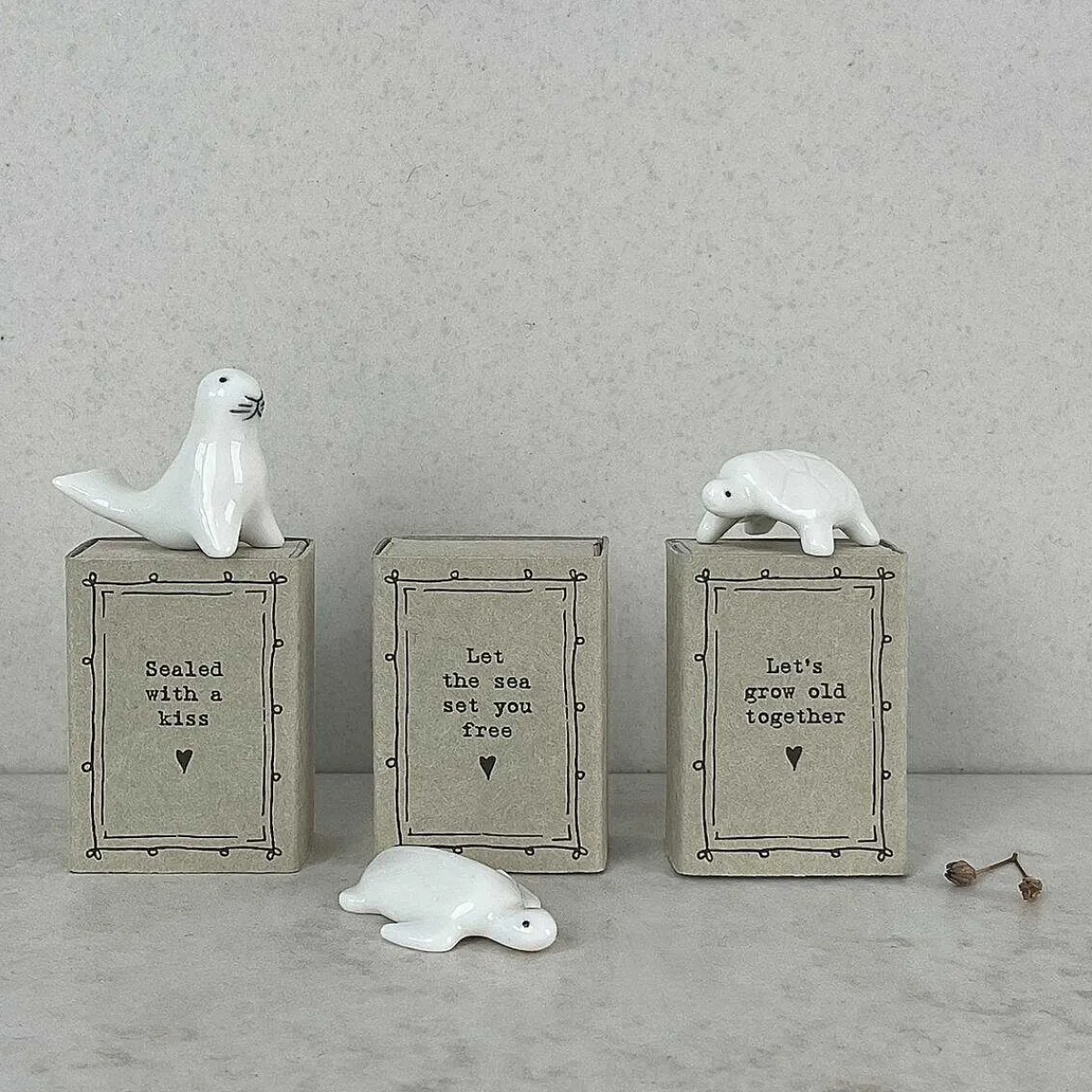 Matchbox Tortoise>East of India Cheap