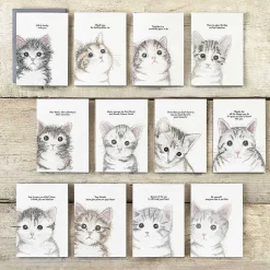 'New Home, New Adventures' Cat Card><noscript><img width=