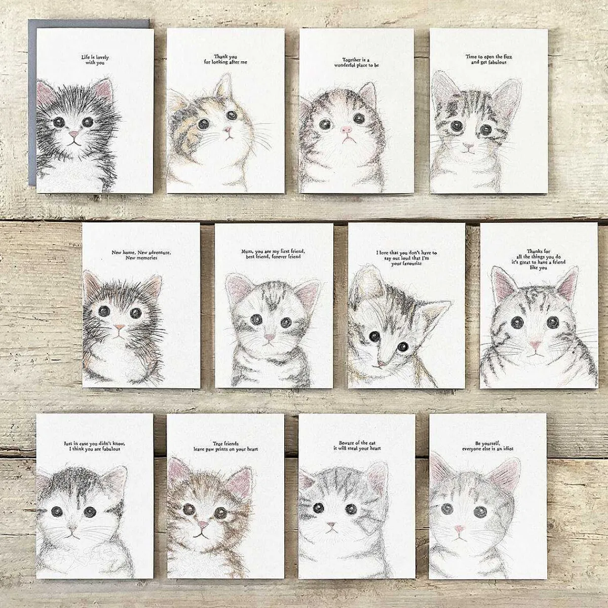 'New Home, New Adventures' Cat Card>East of India Cheap