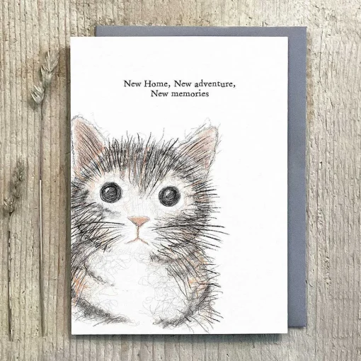 'New Home, New Adventures' Cat Card>East of India Cheap