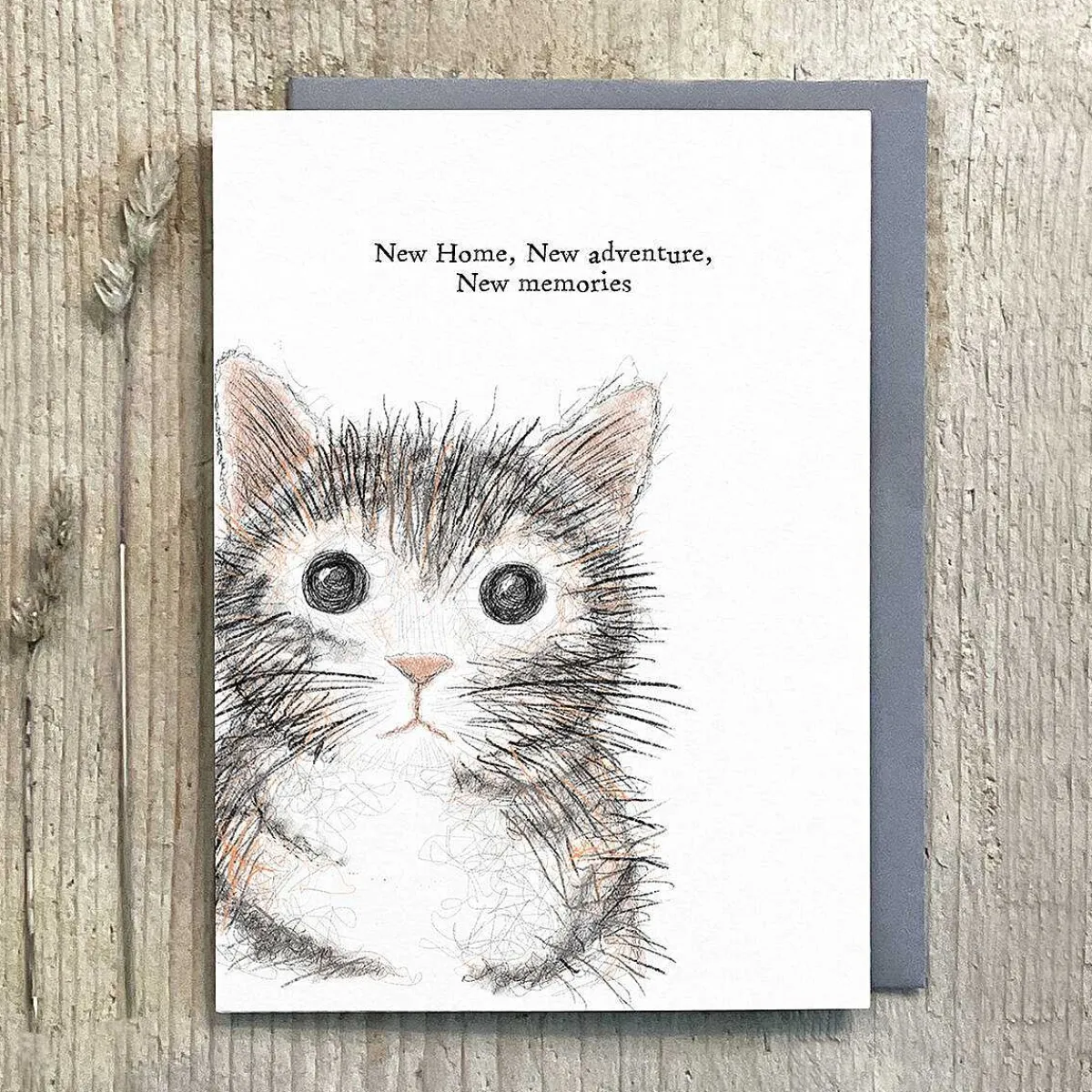 'New Home, New Adventures' Cat Card>East of India Cheap