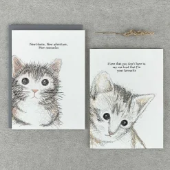 'New Home, New Adventures' Cat Card><noscript><img width=