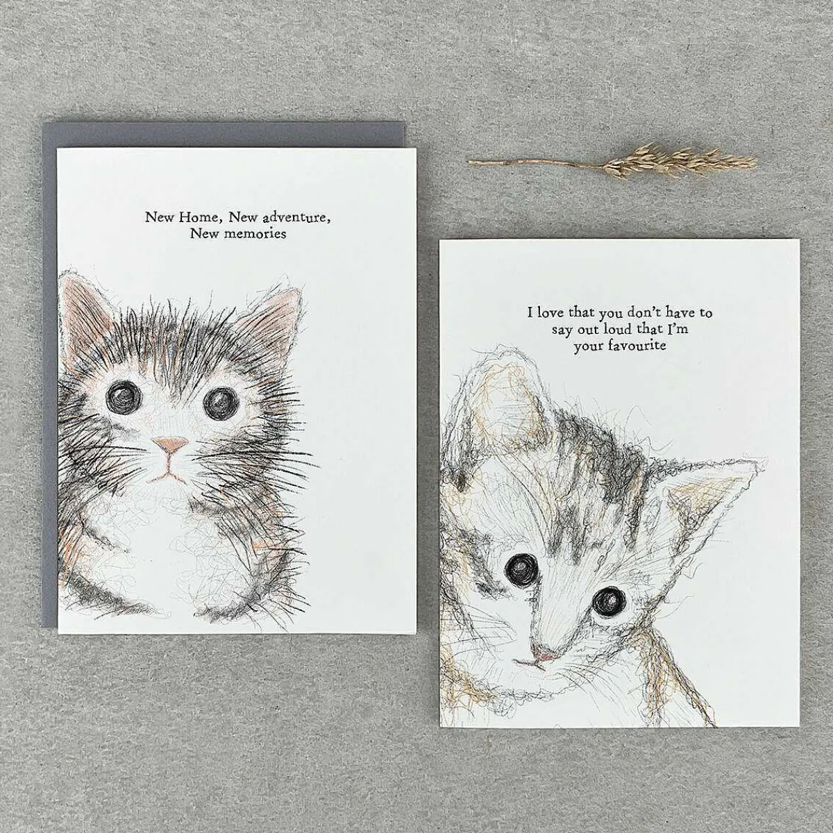 'New Home, New Adventures' Cat Card>East of India Cheap