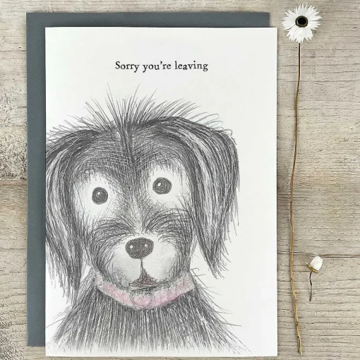'sorry You Are Leaving' Dog Extra Large Greetings Card>East of India Discount