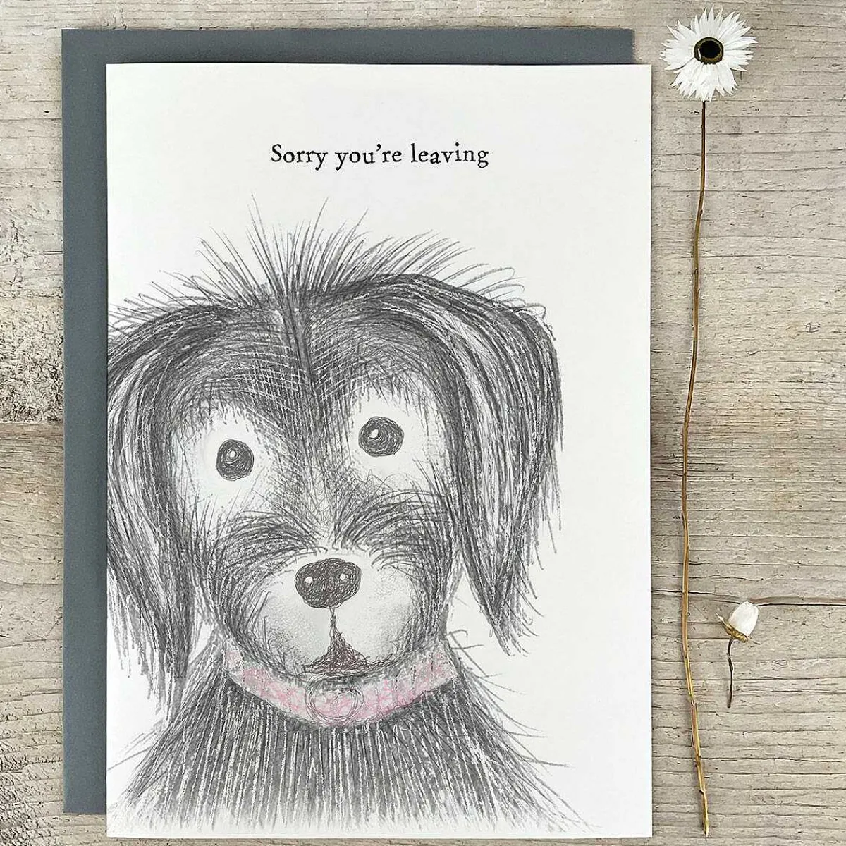 'sorry You Are Leaving' Dog Extra Large Greetings Card>East of India Discount