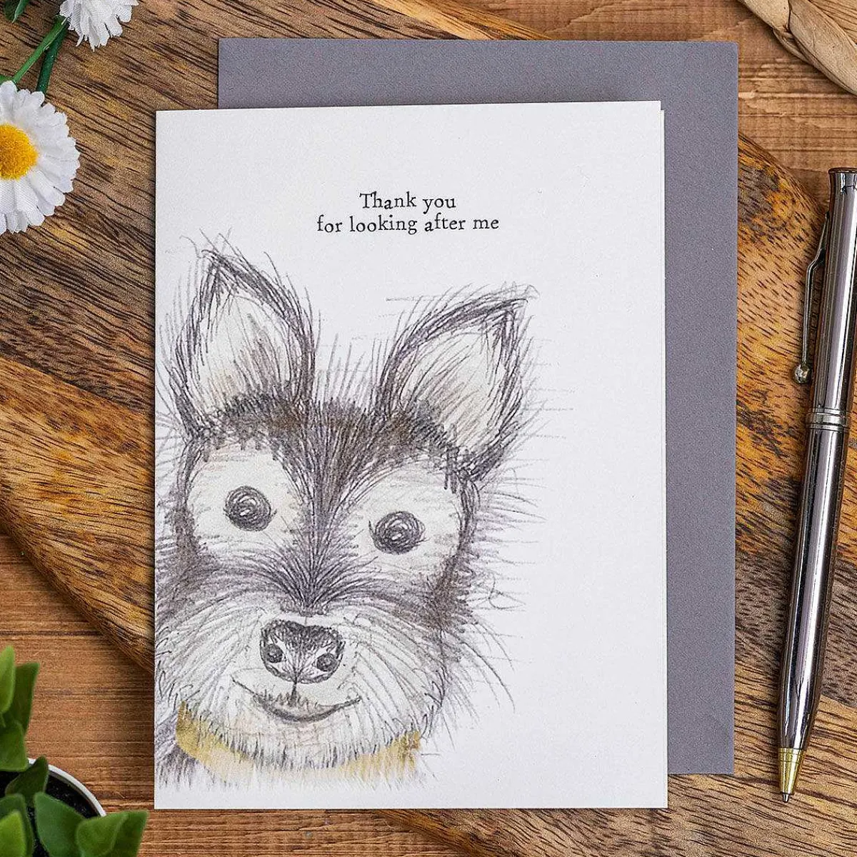 'Thank You For Looking After Me' Dog Card>East of India Cheap