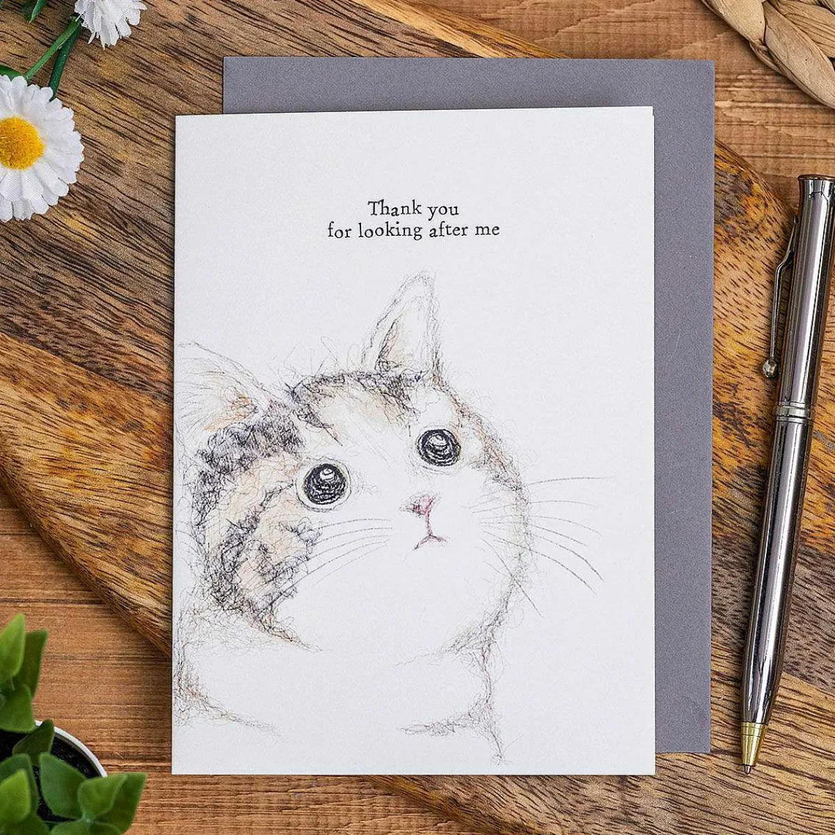 'Thank You For Looking After Me' Cat Card>East of India Clearance