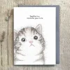 'Together Is A Wonderful Place To Be' Cat Card>East of India Clearance