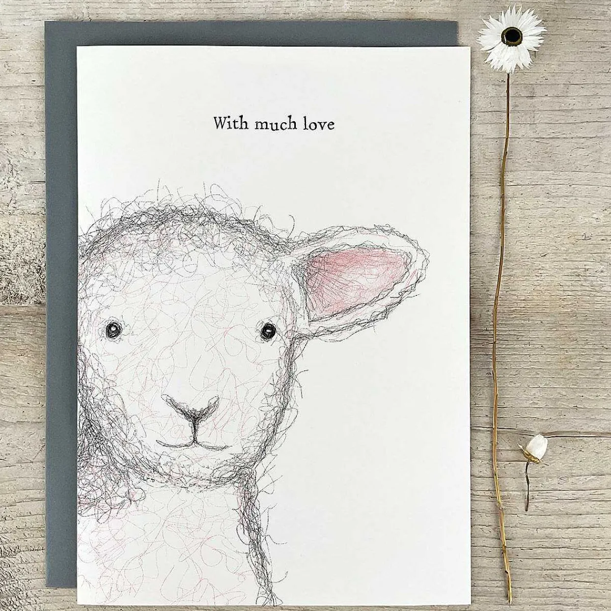 'With Much Love' Sheep Extra Large Greetings Card>East of India Discount