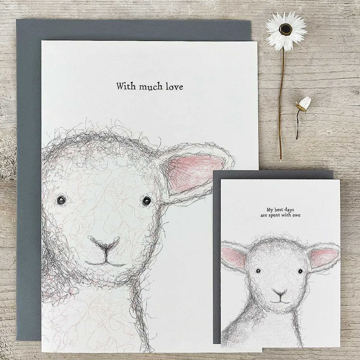 'With Much Love' Sheep Extra Large Greetings Card>East of India Discount